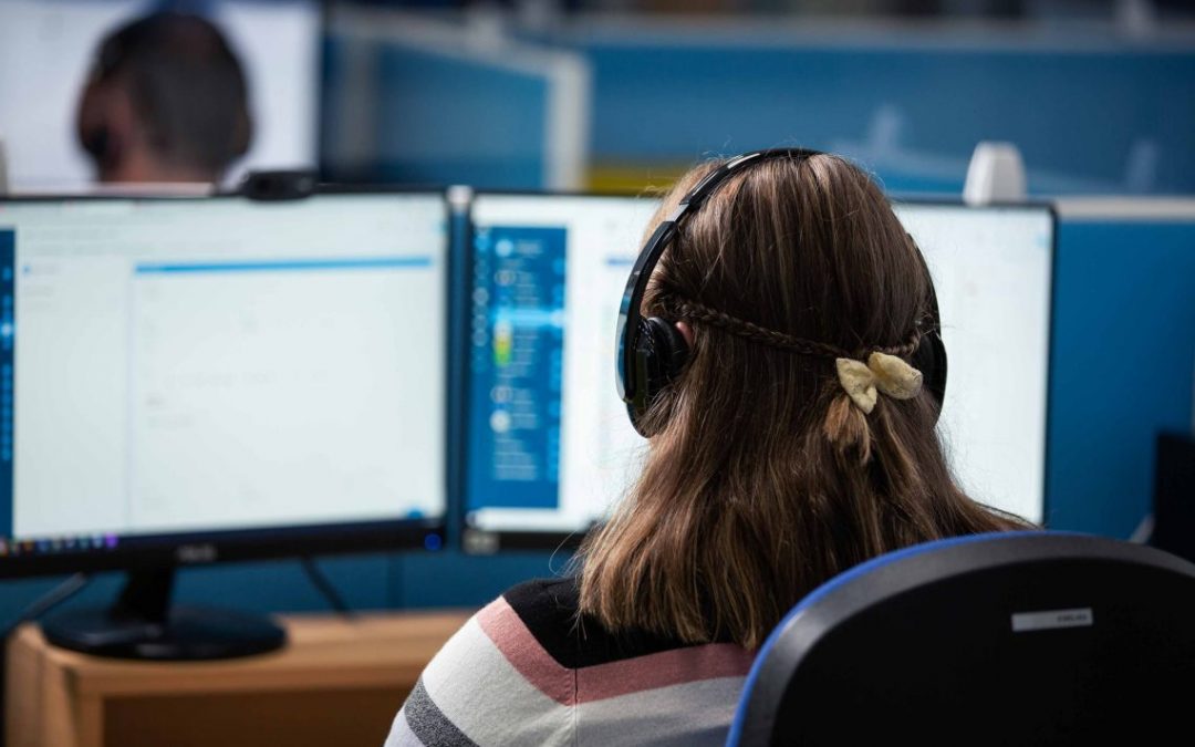 Software development